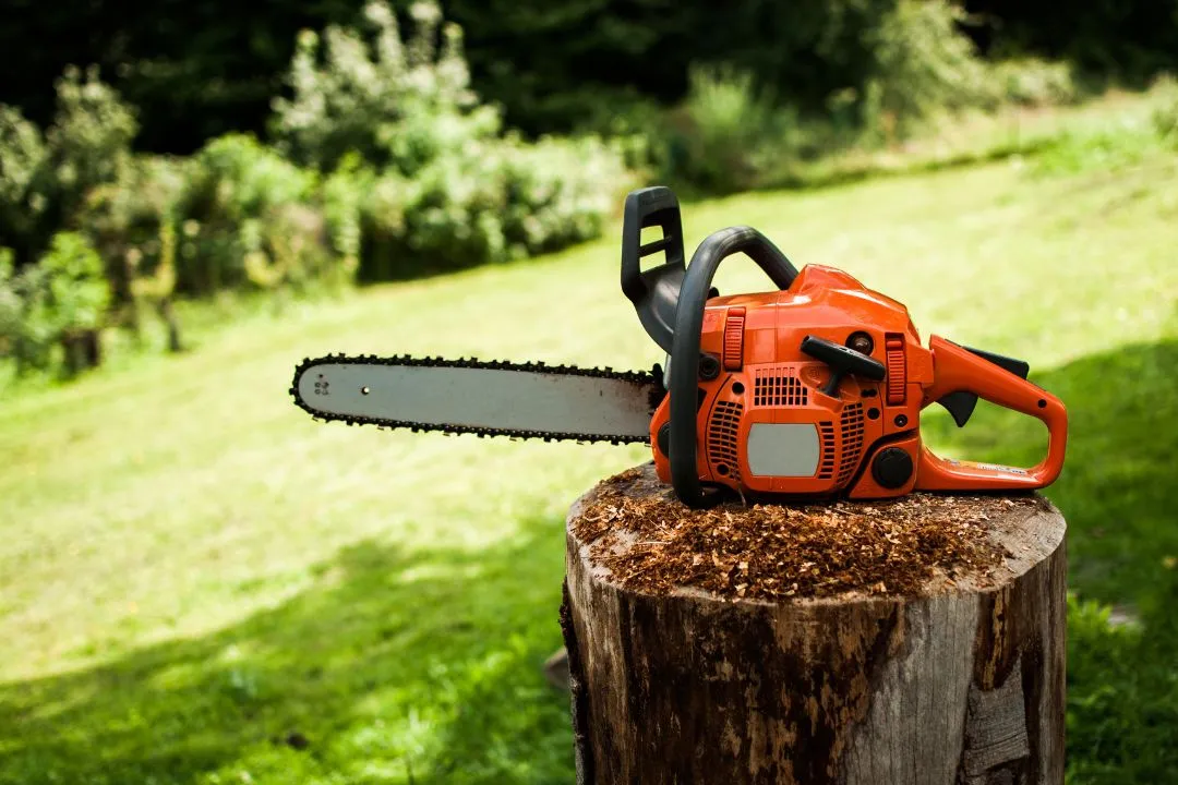 The Best Chainsaw in Bangladesh